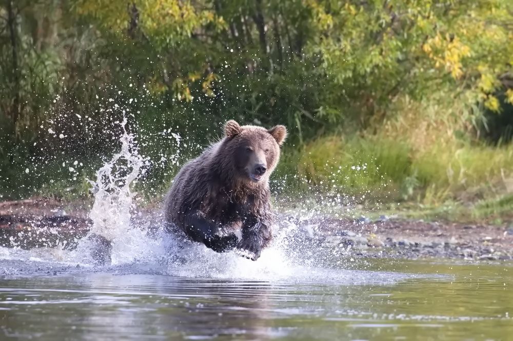 Photograph by Ольга Одаренко
