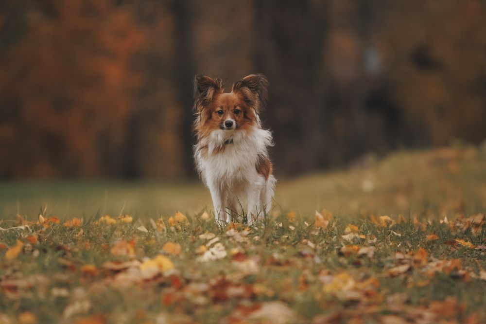 Photograph by Мария Клещенко