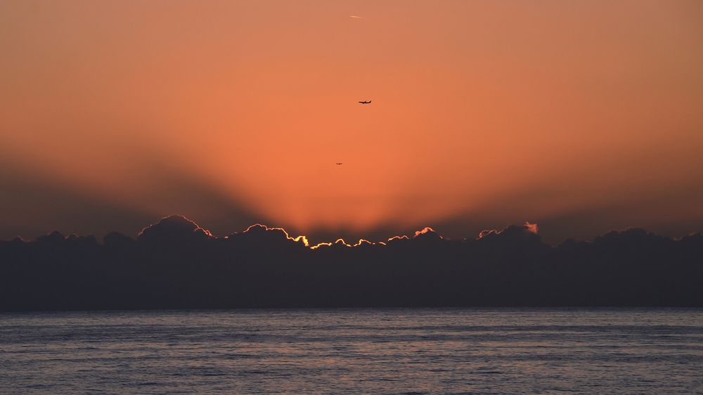 Встречным курсом на расцвете