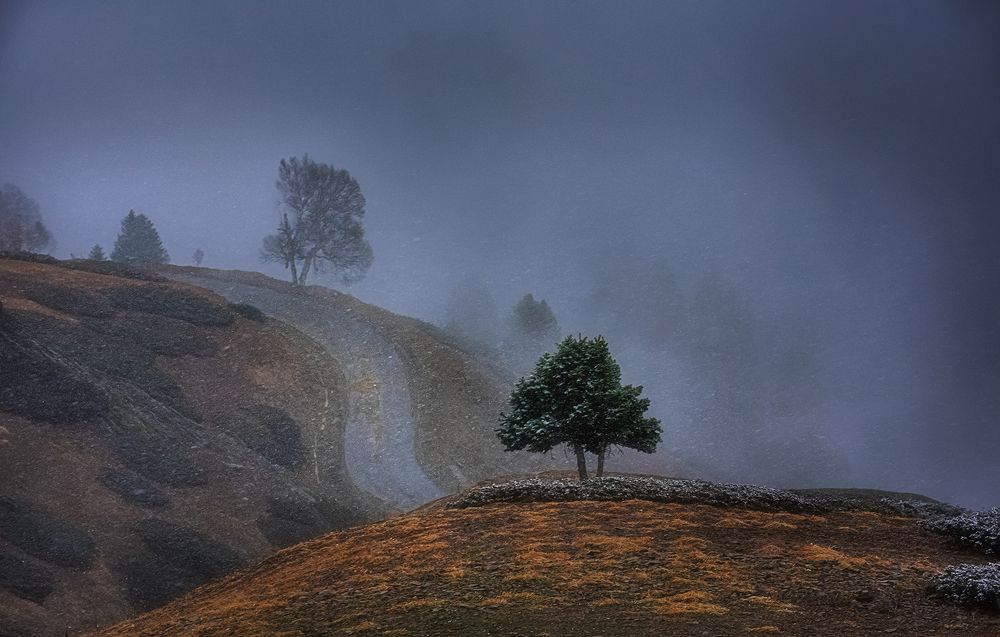 Photograph by GOUTAM PAL