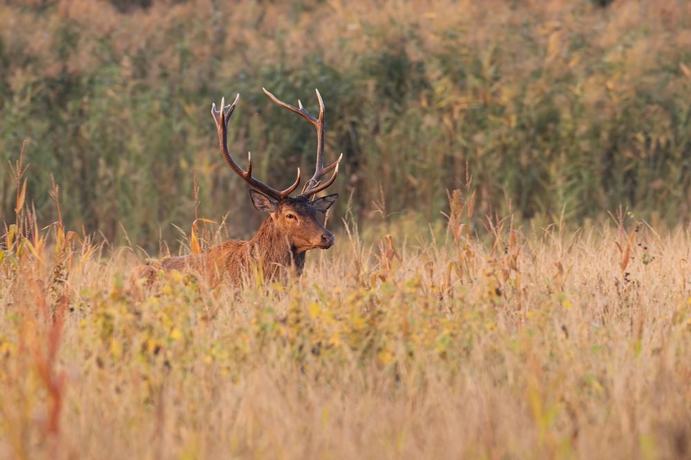 Photograph by George Alexandru Ghiuro