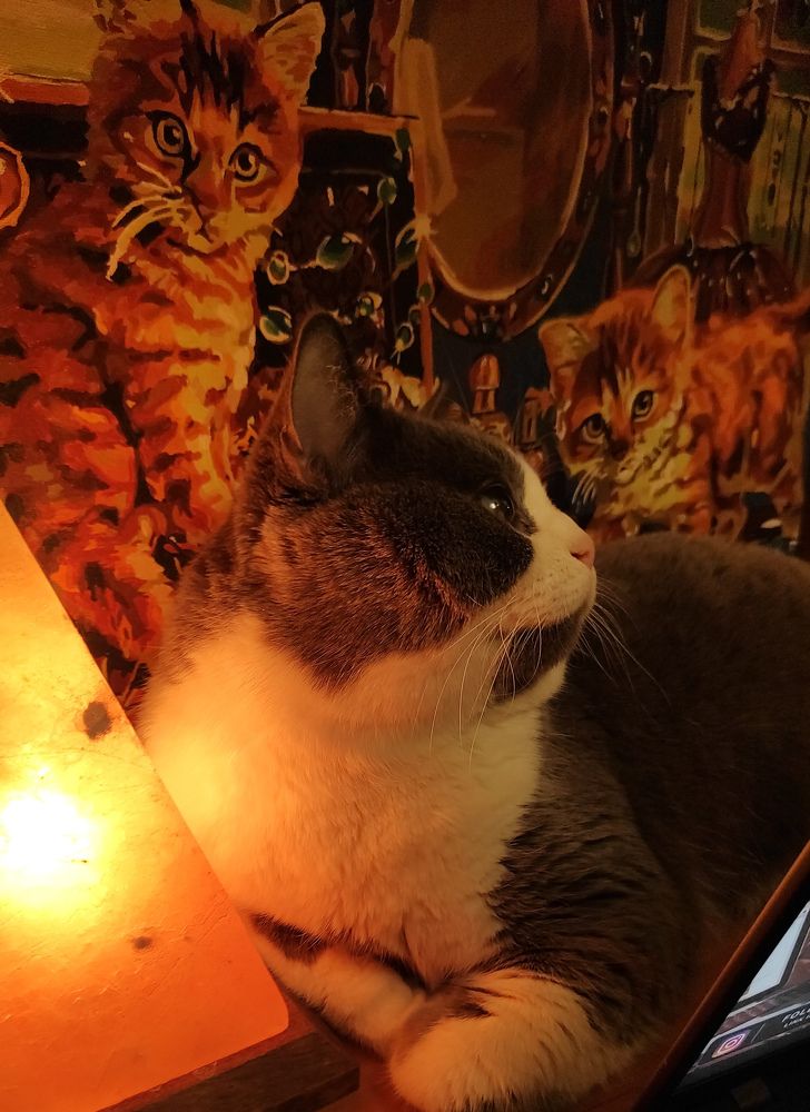 Photograph by Виолетта Клюева