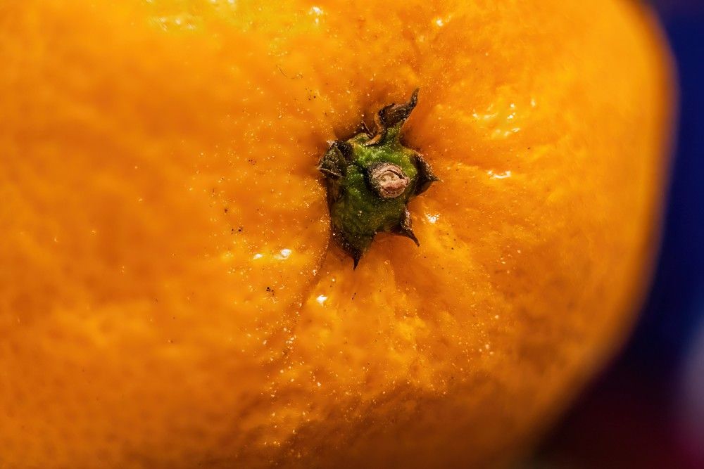 Photograph by Алексей Чеботарев