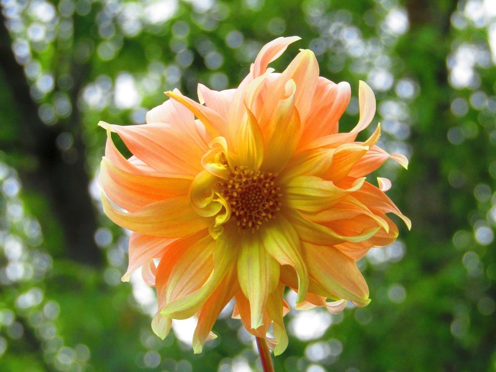 Photograph by Владимир Перминов