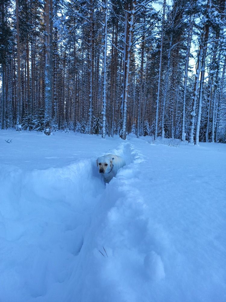 Photograph by Оля Горбанева