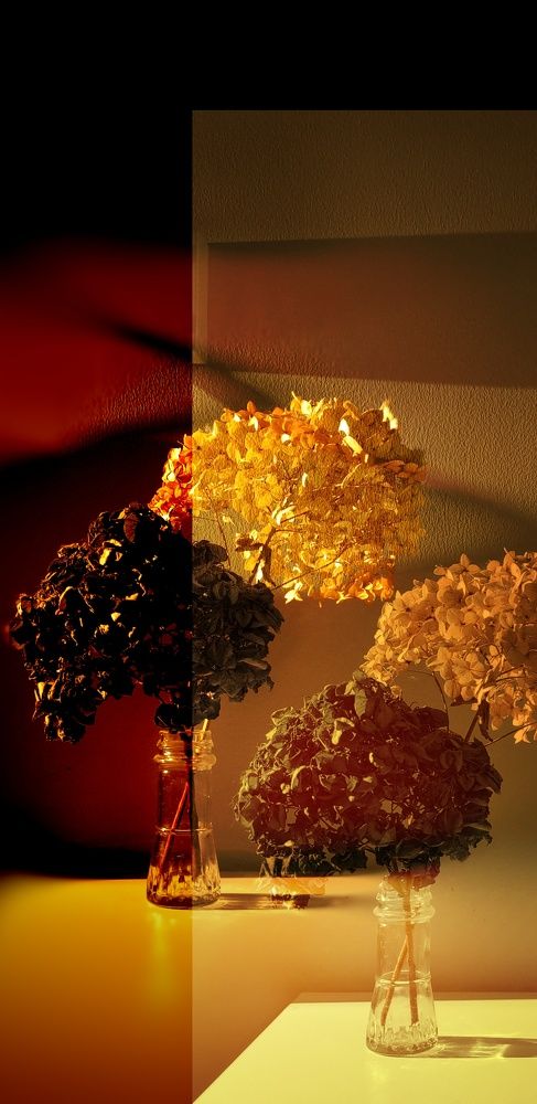 Photograph by Елена Гостева