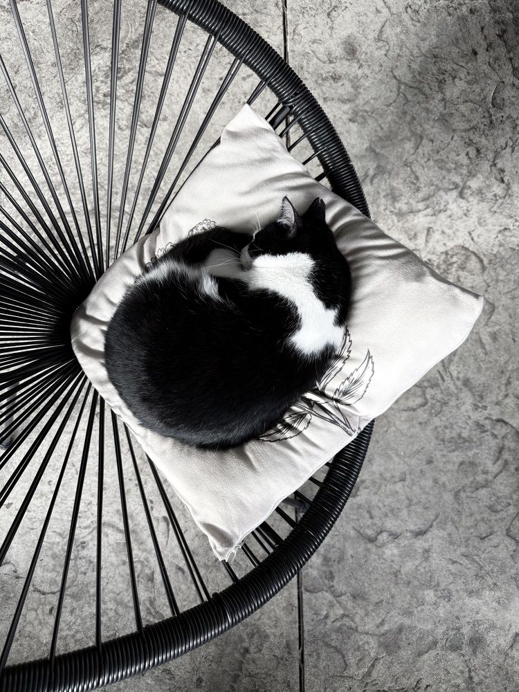 Photograph by Светлана Соколова