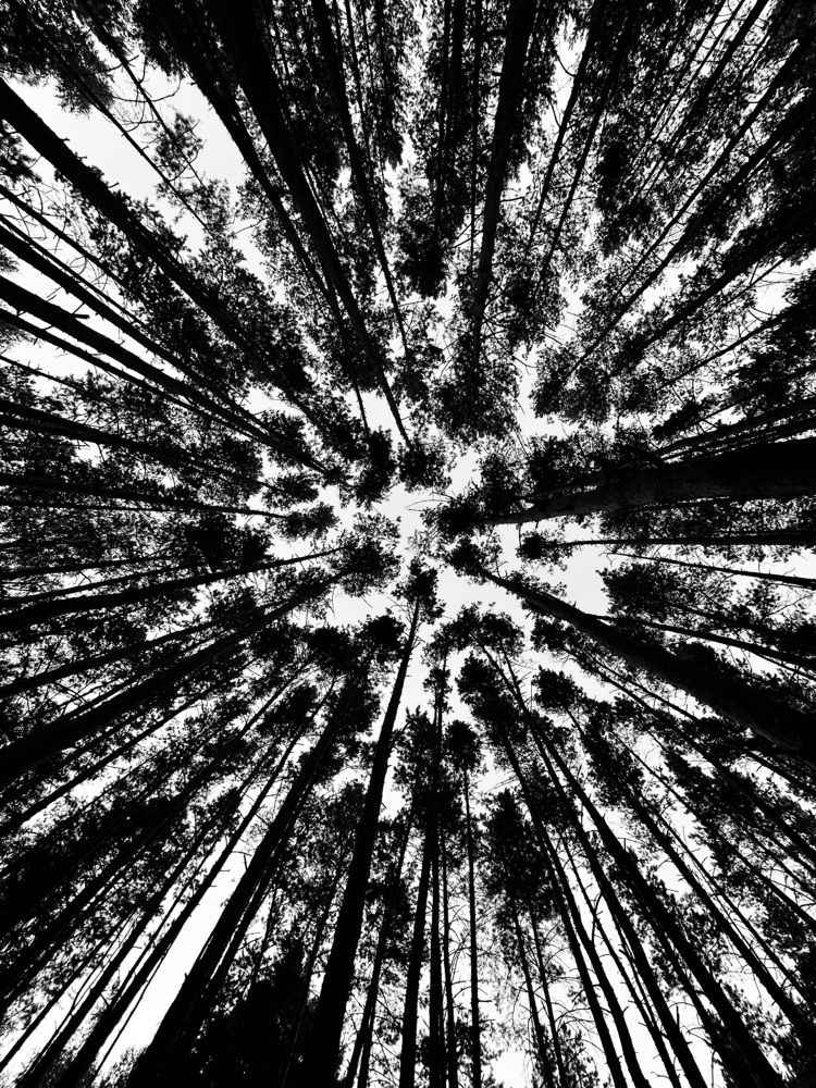 Photograph by Ekaterina