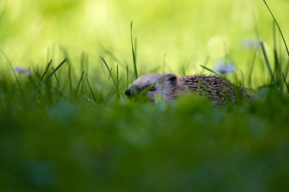 Photograph by Алексеев Артём