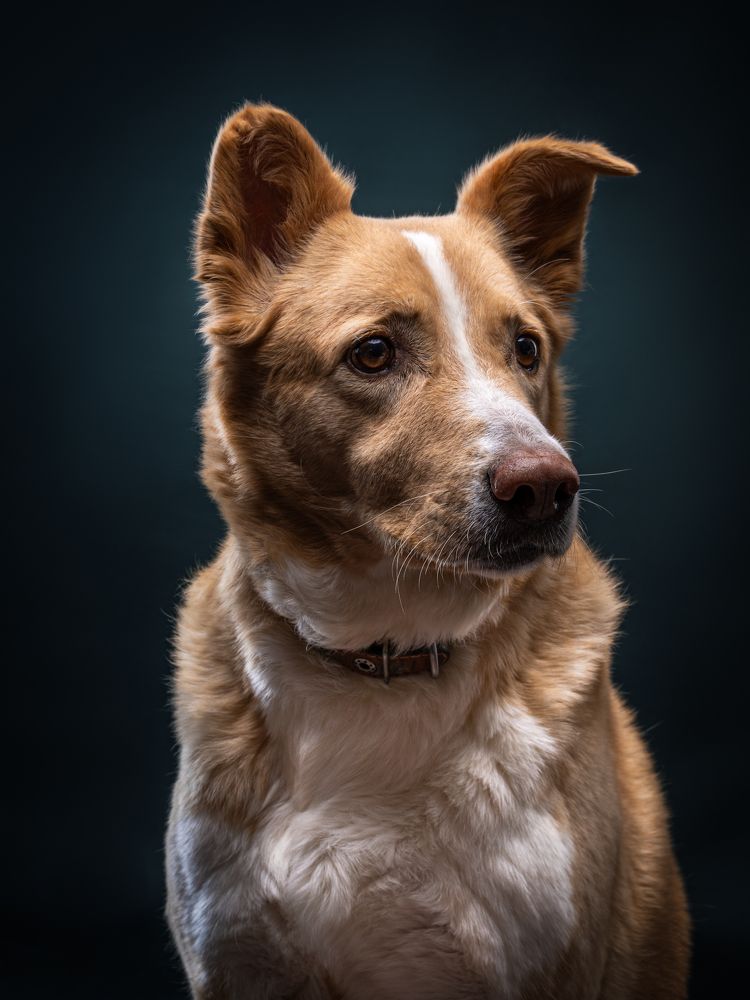 Photograph by дмитрий игнатов