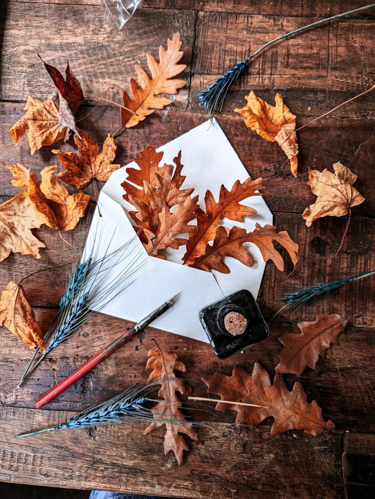 Фотография автора Ксения Шляйхер