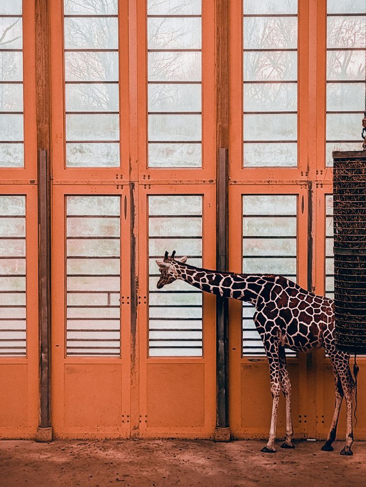 Фотография автора Ксения Шляйхер