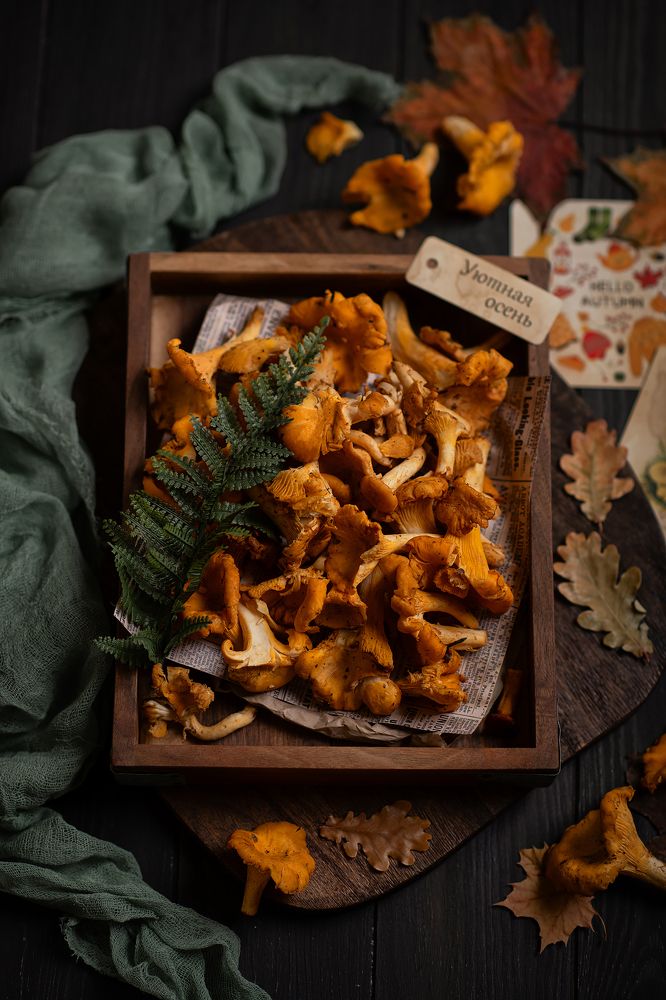 Photograph by Юлия Борт