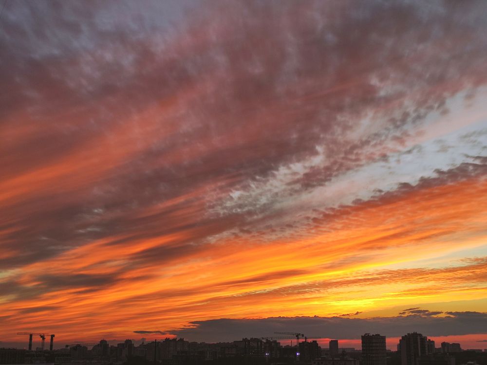 Фотография автора Олеся Непомнящих