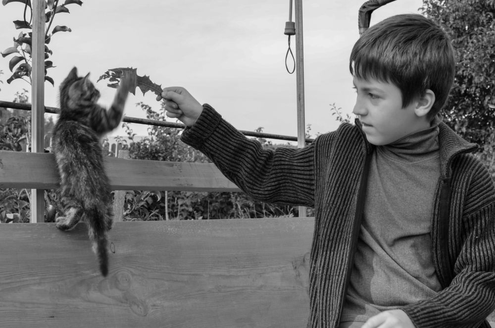 Фотография автора Наталья Почтенная