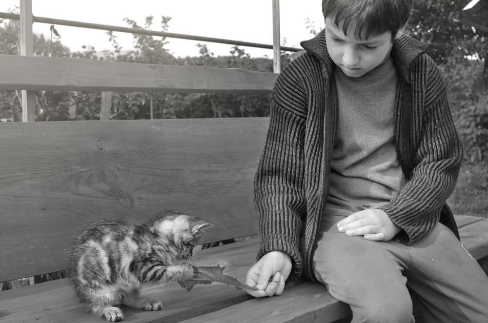 Фотография автора Наталья Почтенная