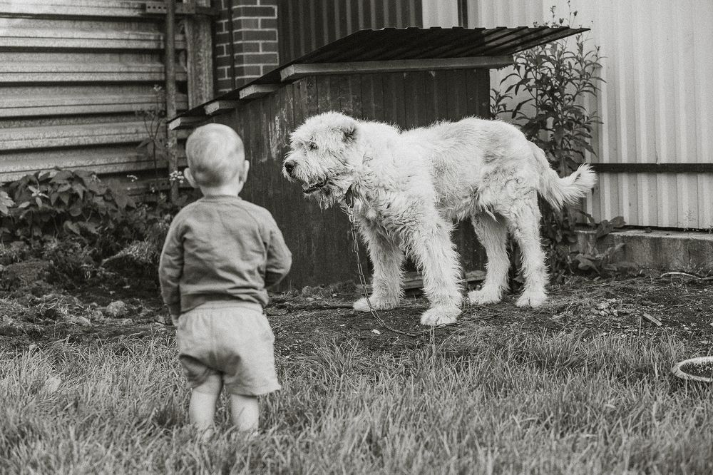 Photograph by Анастасия Родина