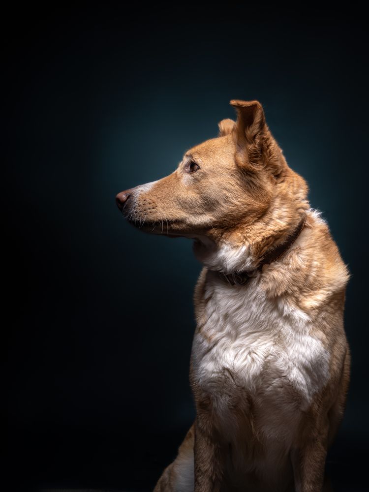 Photograph by дмитрий игнатов