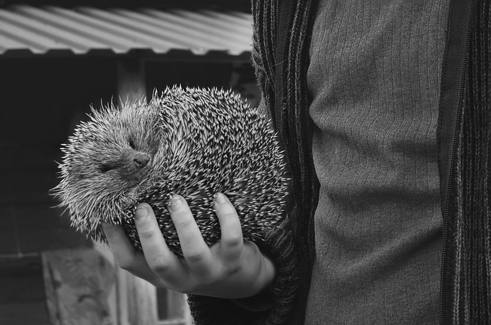 Фотография автора Наталья Почтенная