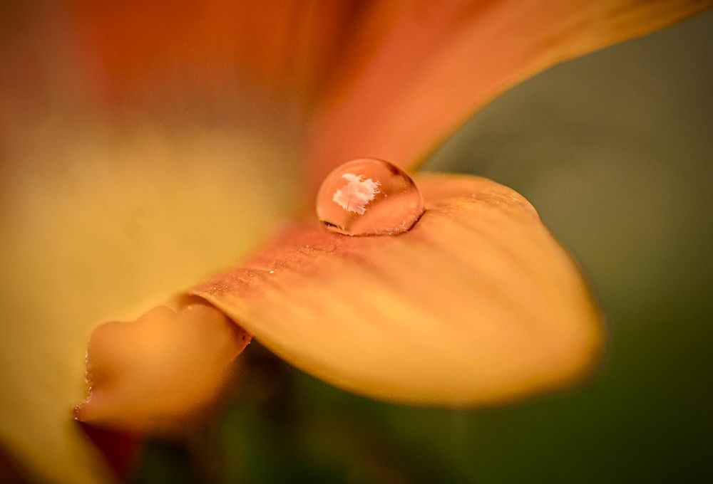 Фотография автора Helena Ivanova