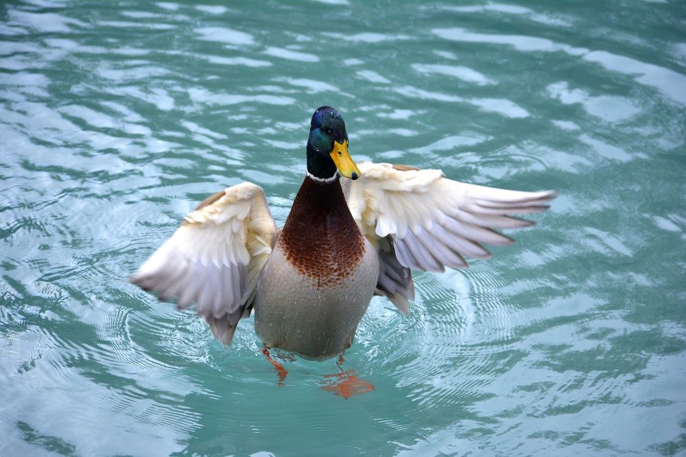 Photograph by Виолетта Клюева