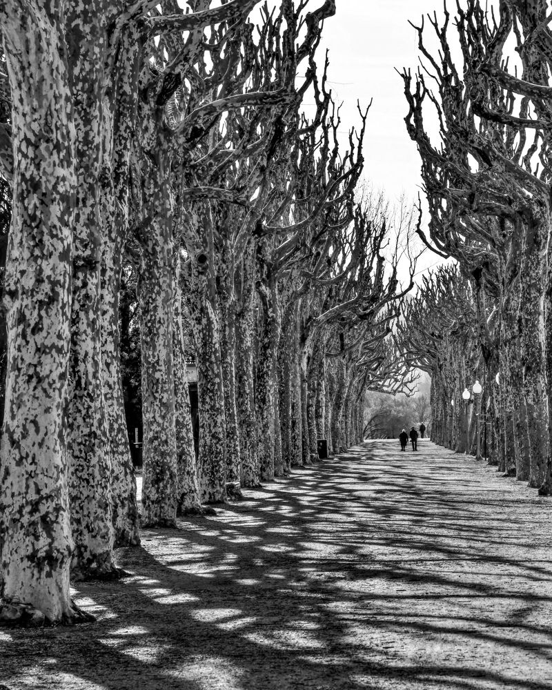 Photograph by Balcetis Audrius