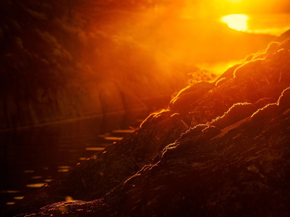 Фотография автора Ольга Крицак