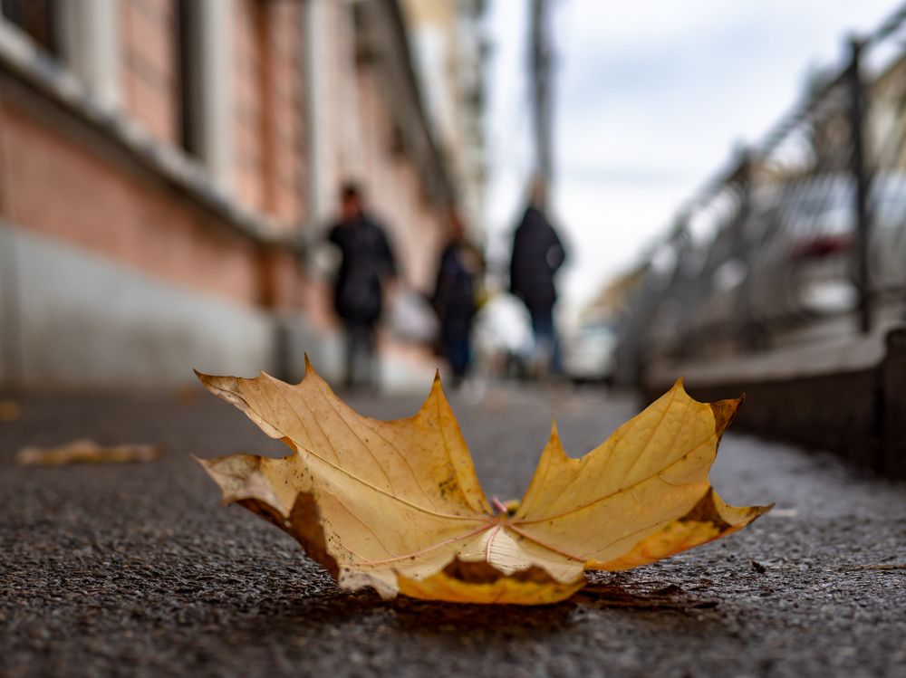 Фотография автора Alec Golibroda