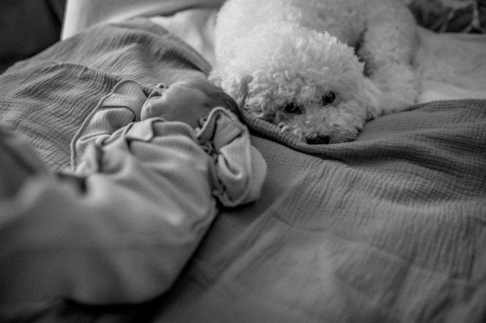 Photograph by Юлия Семенова