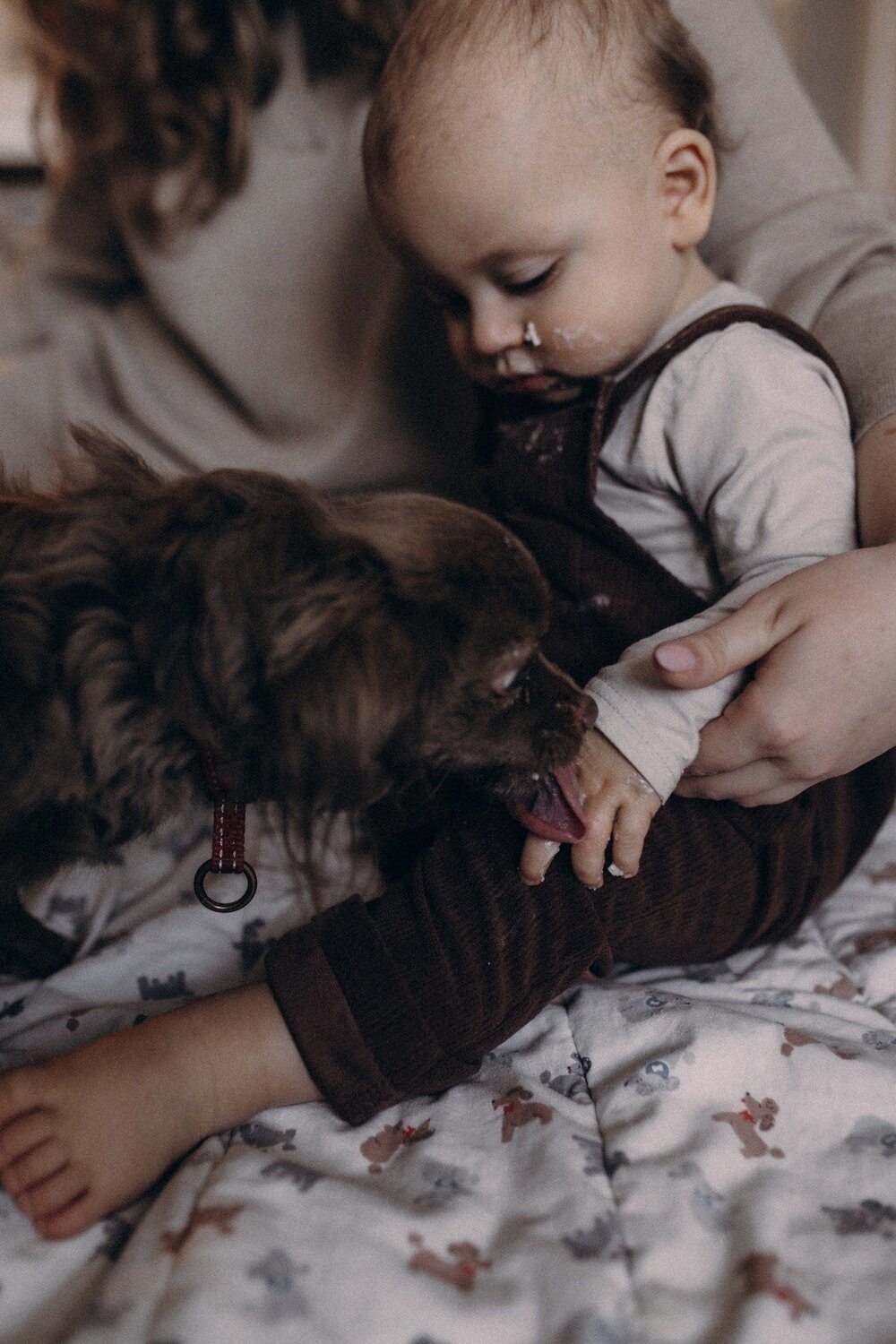 Photo #11491563
