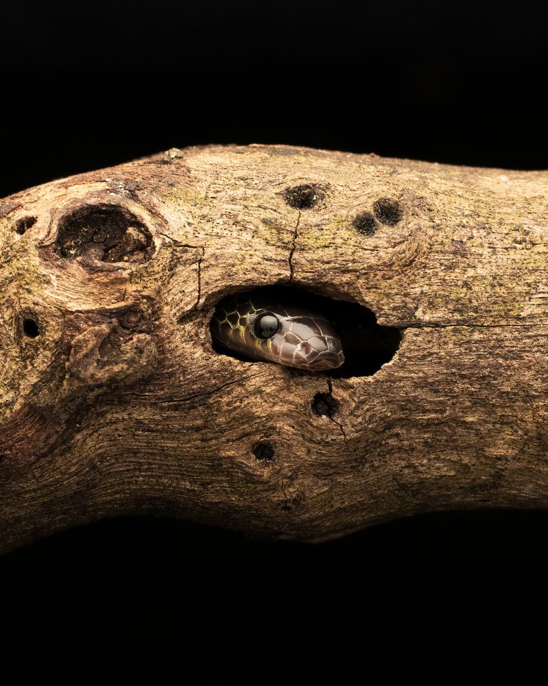 Photograph by Vivek Sundaram