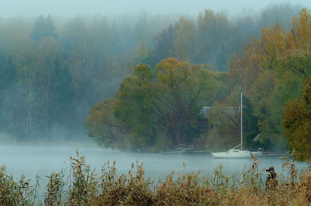 Photograph by Михаил Косолапов