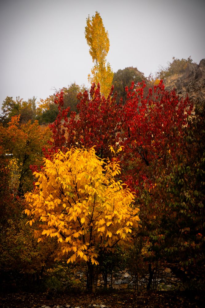 Photograph by Sherko Bahmani