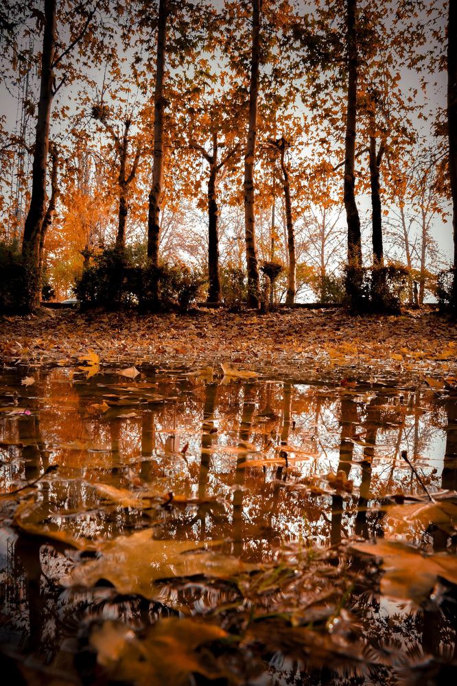 Photograph by Sherko Bahmani