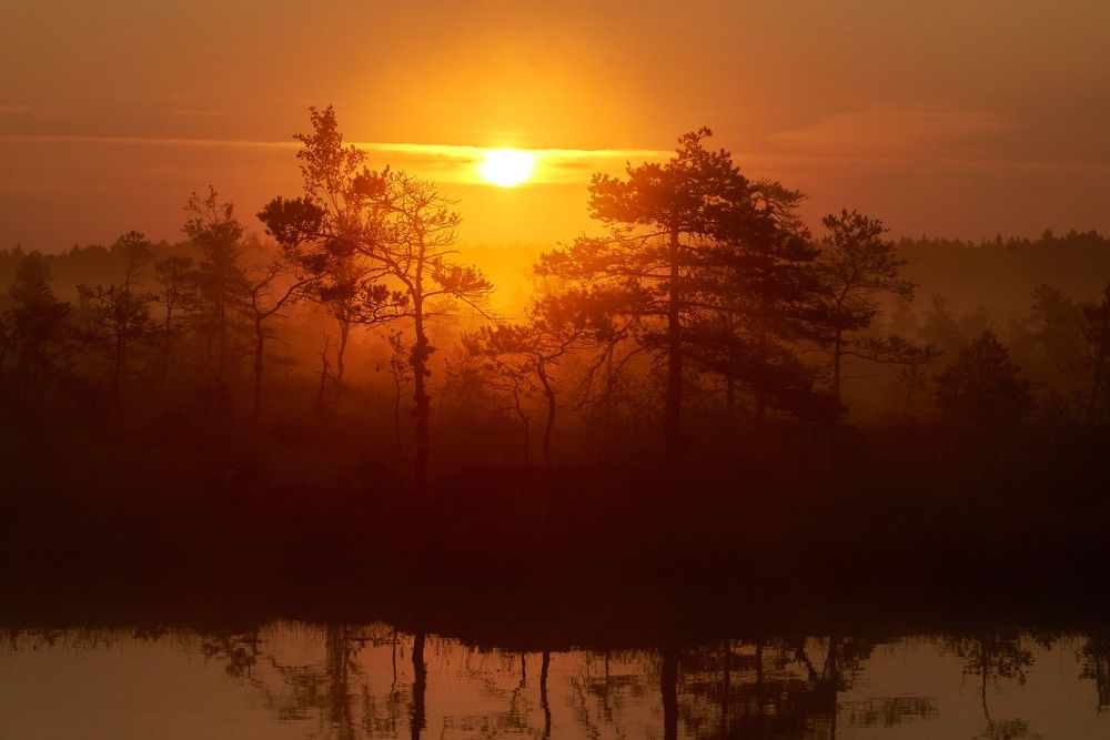 Photograph by Alla Matrosova