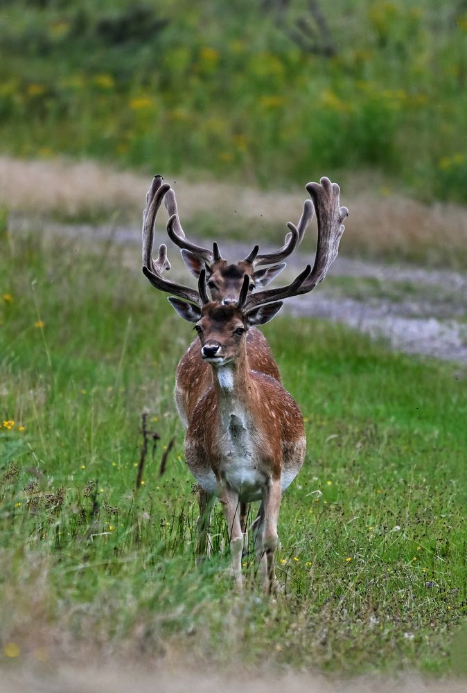 Photograph by nimalan subramaniam