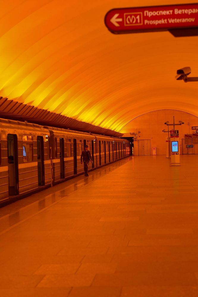 Photograph by Elvira