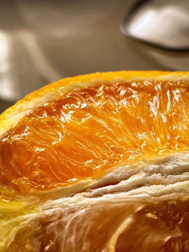 Photograph by Elvira