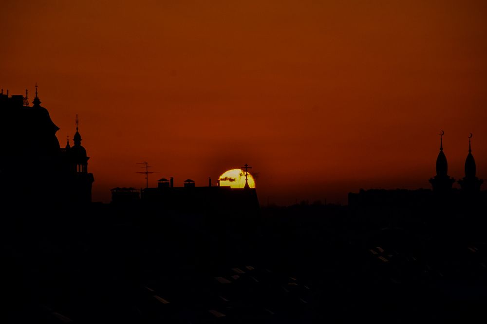 Photograph by Elvira