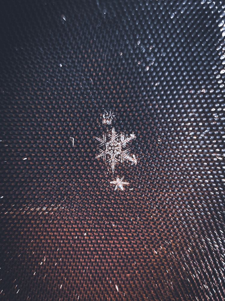 Photograph by Elvira