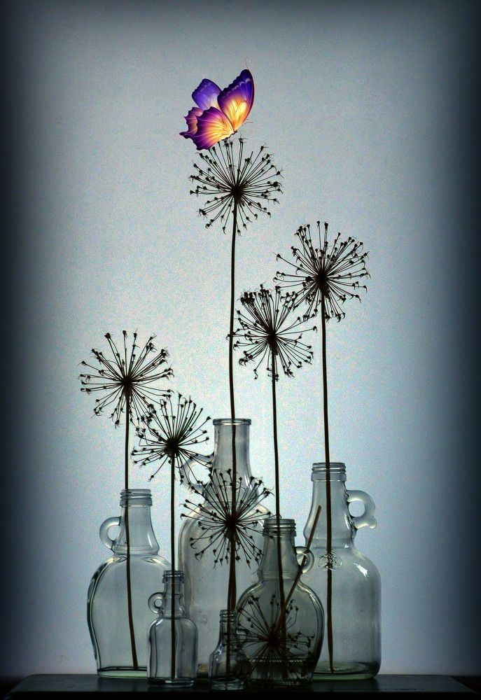 Photograph by Александр Зарх