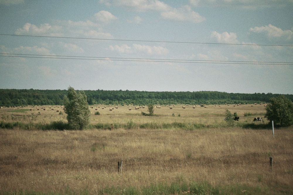 Photograph by Elvira