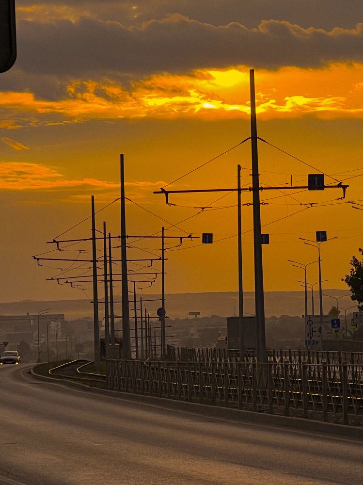 Photograph by Elvira