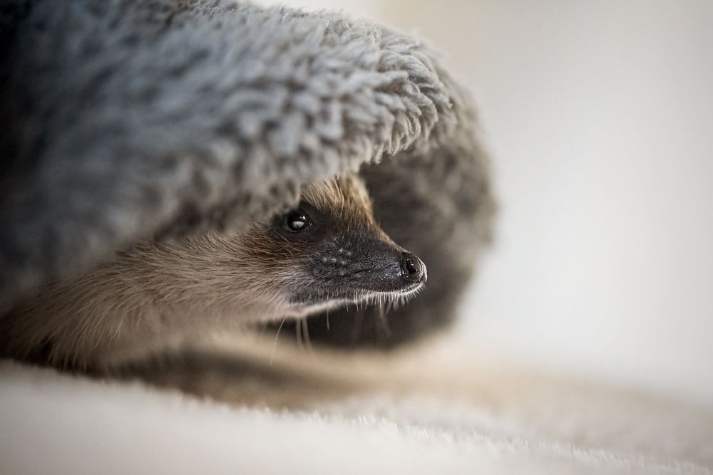 Photograph by Zaneta Konradova