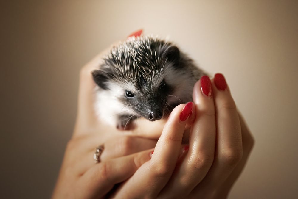 Photograph by Zaneta Konradova