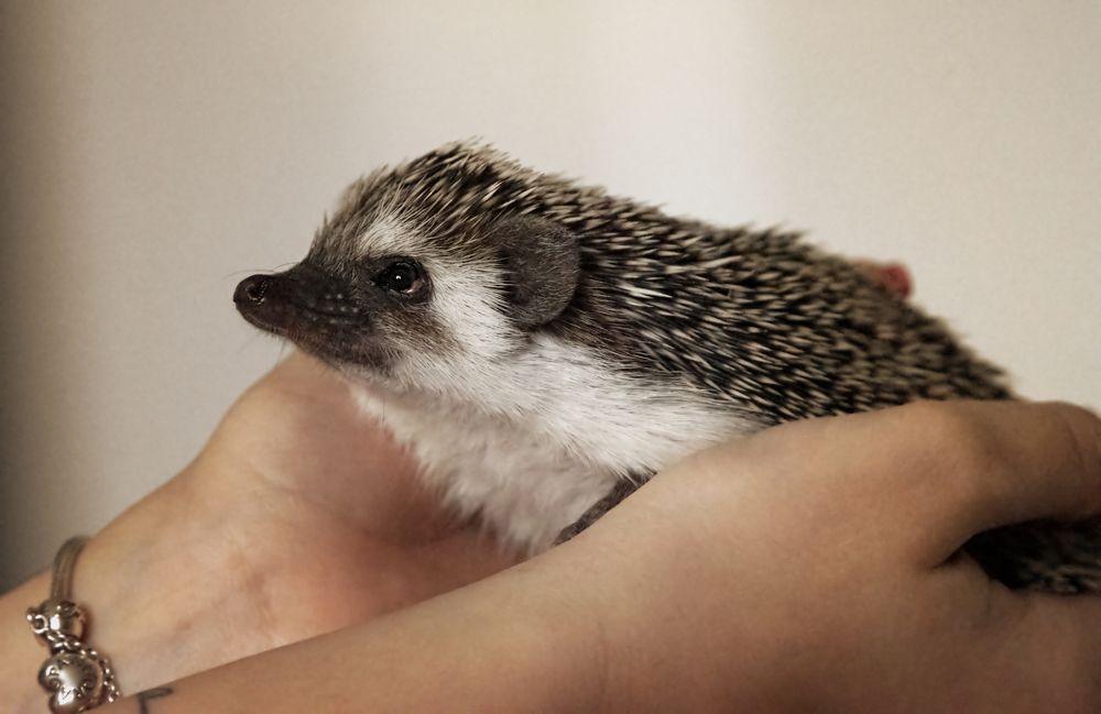 Photograph by Zaneta Konradova