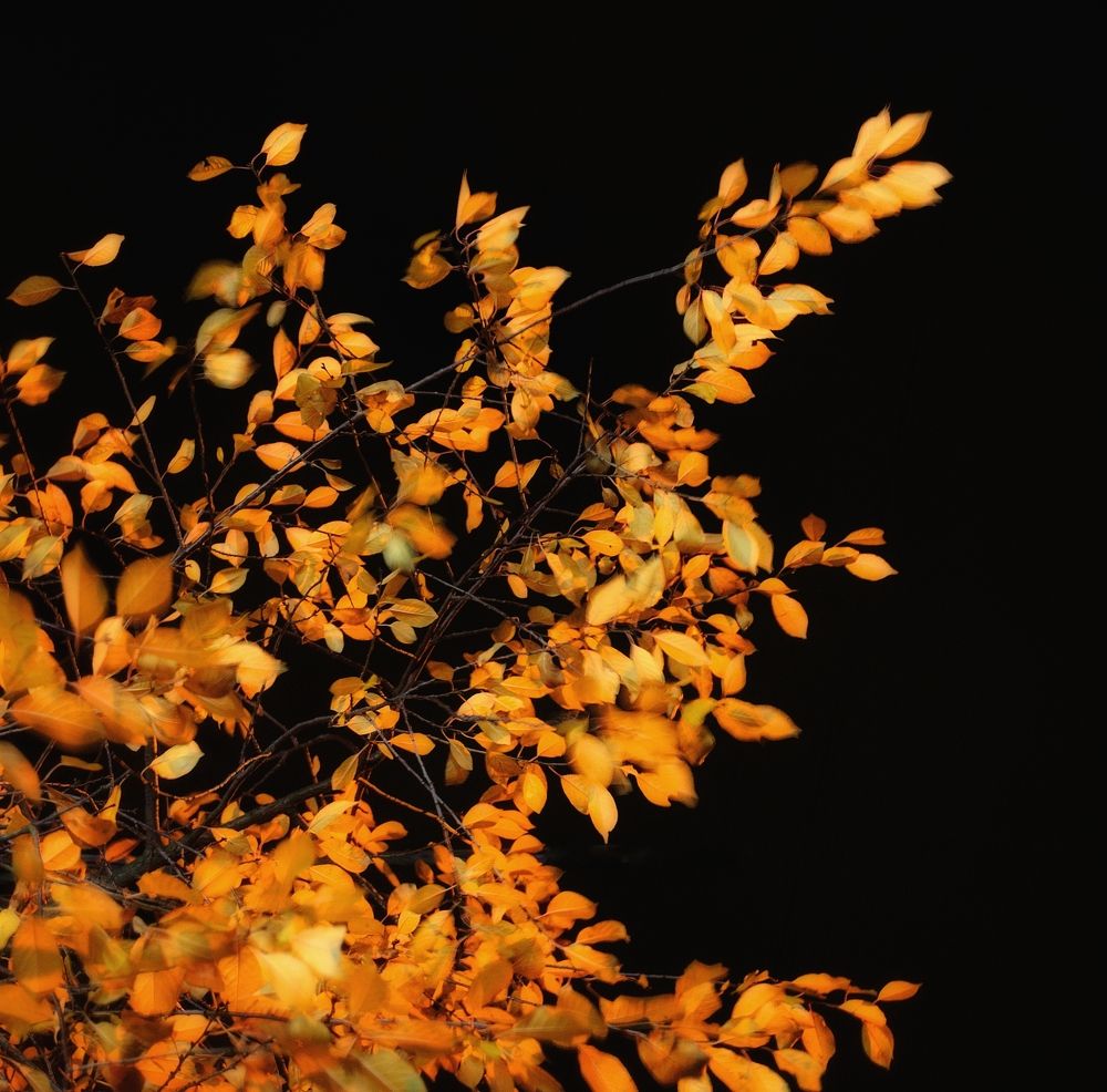Photograph by Лаура Мазихова