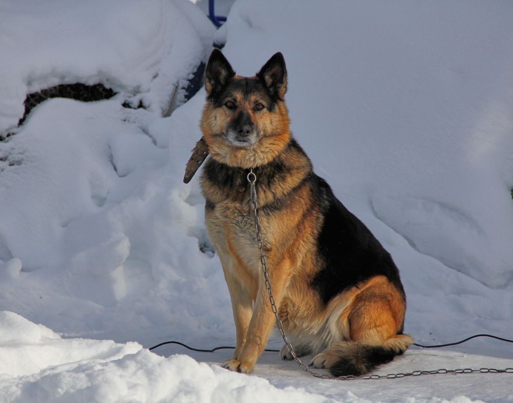 Фотография автора Наталия Мащенко