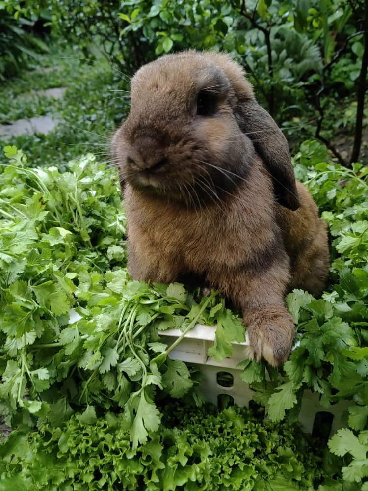 Photograph by Virginia Azocar