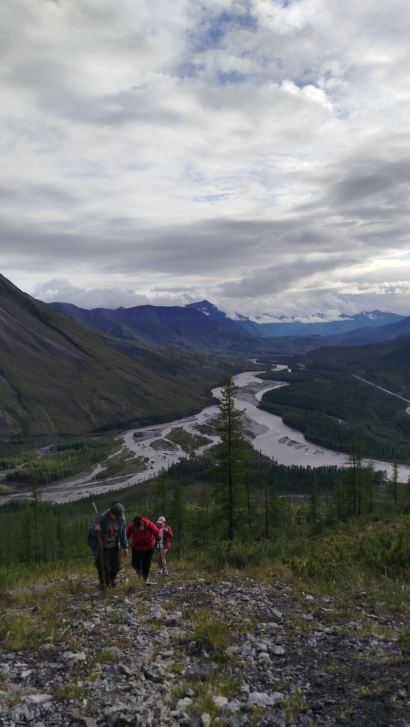 Photo #11491856
